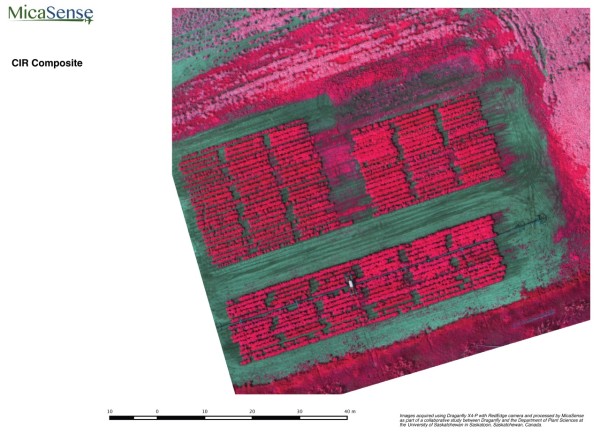 MicaSense_CIR_Composite-600x433.jpg