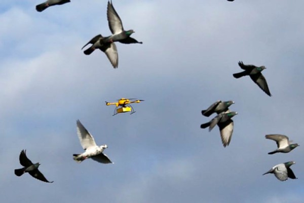 dhldronepidgeons-600x400.jpg