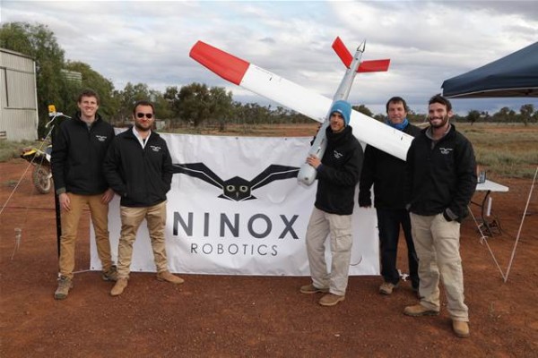 ninox2-600x400.jpg