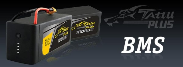 tattuplus-600x222.jpg