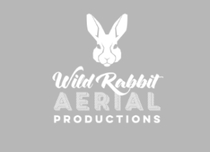 wildrabbit-300x218.png