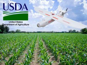 USDA-corn-field-growing-300x225.jpg