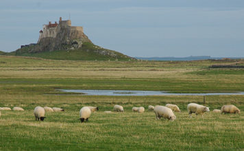 LindisfarneCastle-356x220.jpg