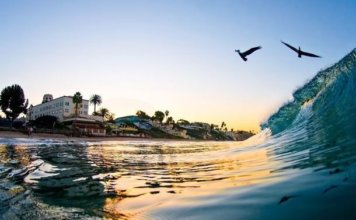 laguna-beach-356x220.jpg