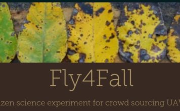 fly4fall-356x220.jpg