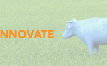 innovate-craig-356x220.png