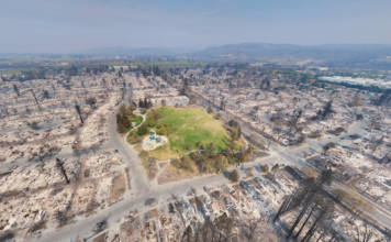 wildfires-1-356x220.png