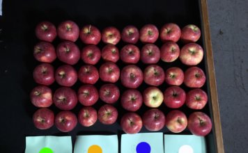 Apple-test-color-356x220.jpg