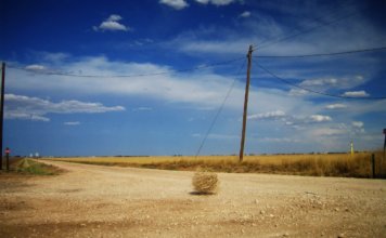 tumbleweed-356x220.jpg