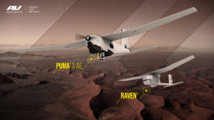 puma-3-ae-and-raven-300x169.jpg