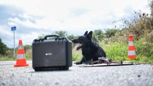 DJI-Rescue-Dog-300x169.jpg